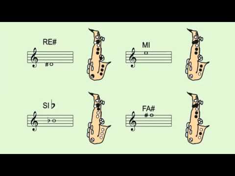 Cómo empezar a tocar el saxofón: Guía para principiantes