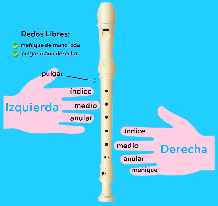 ¿Cuál es la mejor postura para tocar la flauta dulce?