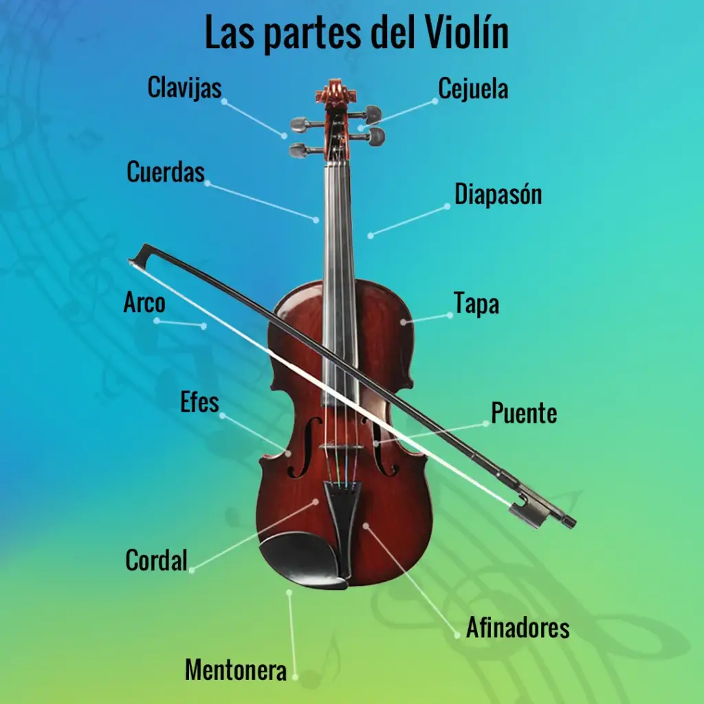 ¿Qué accesorios básicos necesitas para empezar a tocar el violín?